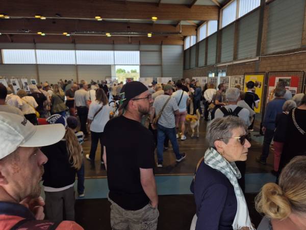 Many visitors