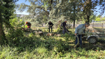 Volunteers Secure the Association’s Site